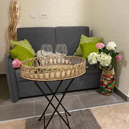 شقة Studio Apartma Sara بيران المظهر الخارجي الصورة