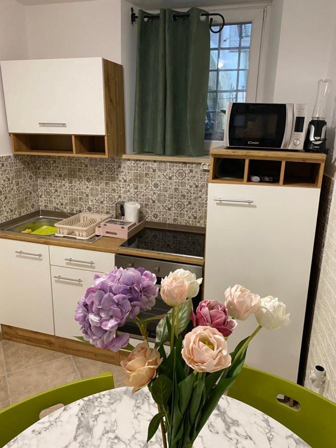 شقة Studio Apartma Sara بيران المظهر الخارجي الصورة