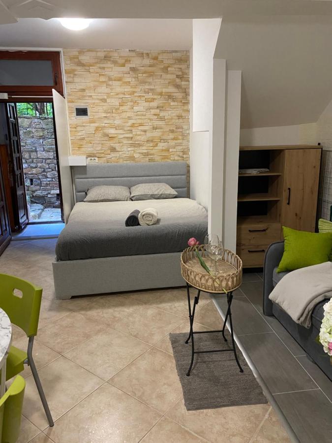 شقة Studio Apartma Sara بيران المظهر الخارجي الصورة