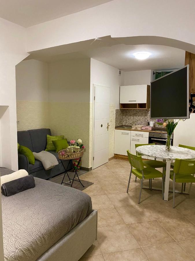 شقة Studio Apartma Sara بيران المظهر الخارجي الصورة